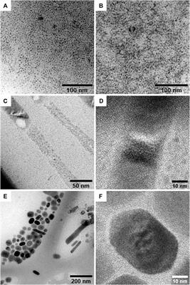 Morphological and Optical Tuning of Lead-Free Cs2SnX6 (X = I, Br) Perovskite Nanocrystals by Ligand Engineering
